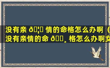 没有亲 🦉 情的命格怎么办啊（没有亲情的命 🕸 格怎么办啊女生）